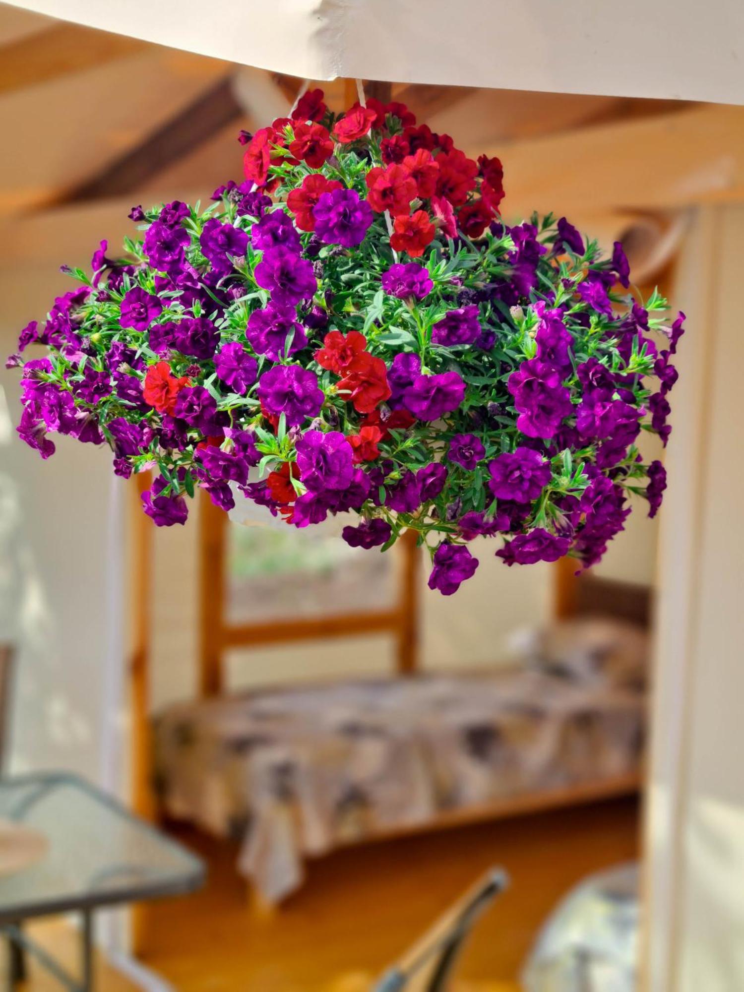 Camping Saint George Topola Esterno foto